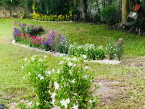 Communal Gardens