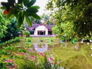 Lake House